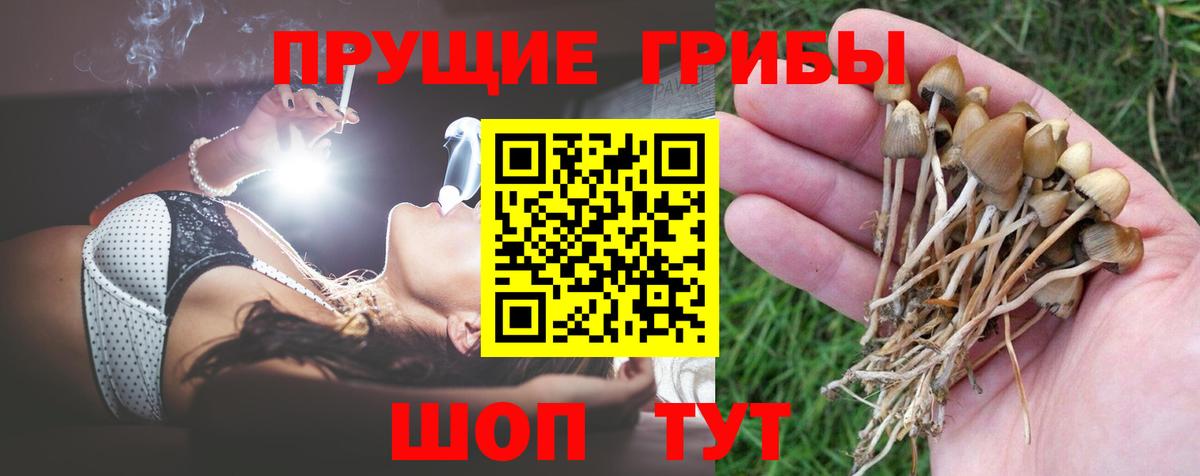 Галлюциногенные грибы мицелий  Псилоцибиновые грибы Magic Shrooms  Якутск  Вход с VPN 